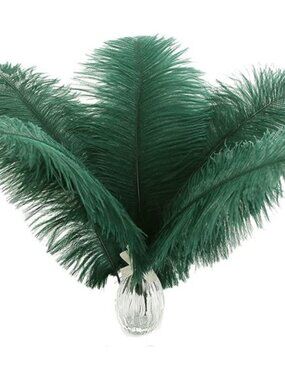 Ballinger Blackish Green Ostrich Feathers Bulk- 24pcs 10-12inch for Wedding